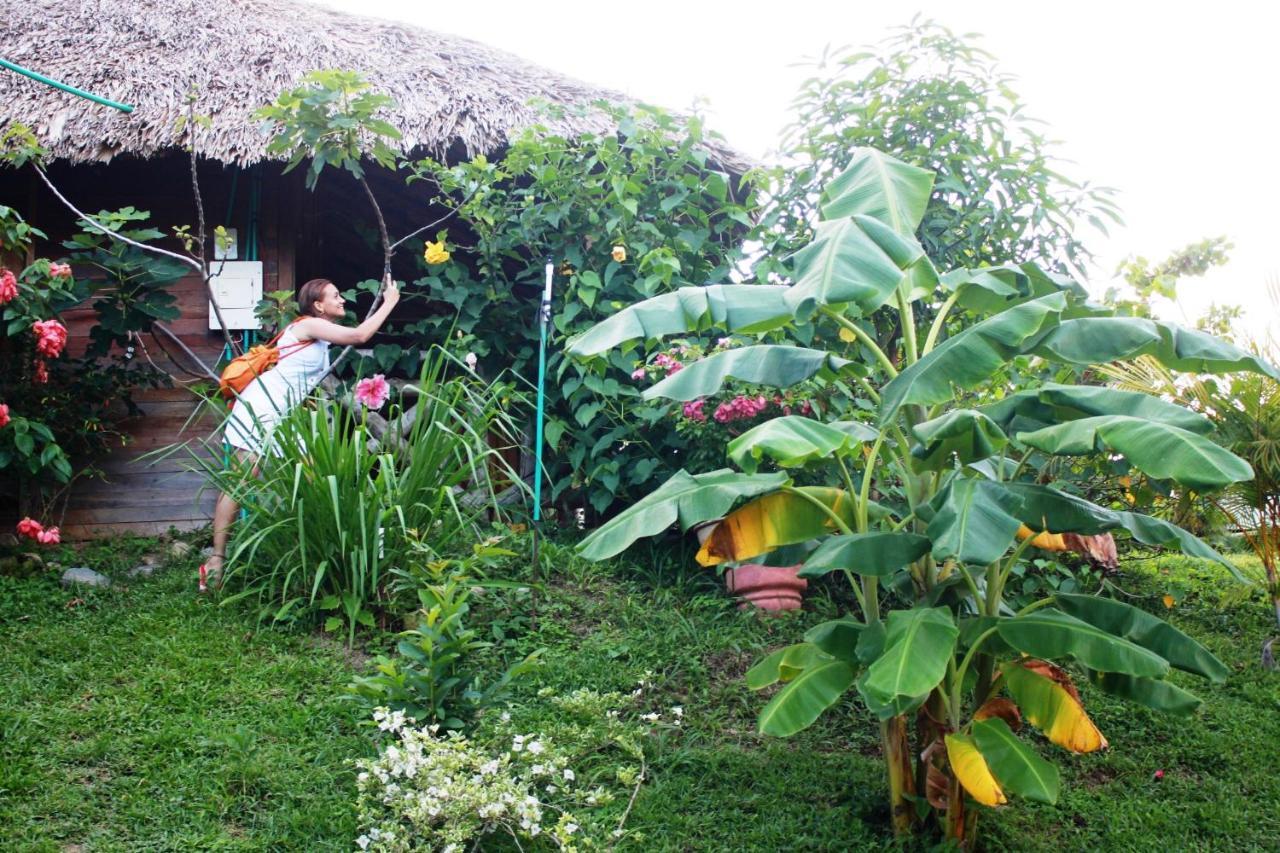 Villa Cabanas Ecoturisticas Y Club Gaira Tayrona Santa Marta  Exterior foto